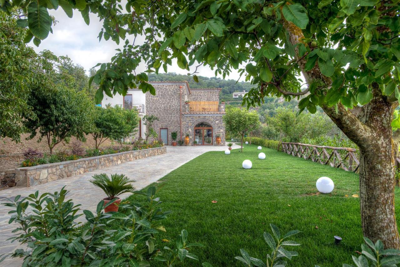 Agriturismo La Peppina Massa Lubrense Ngoại thất bức ảnh